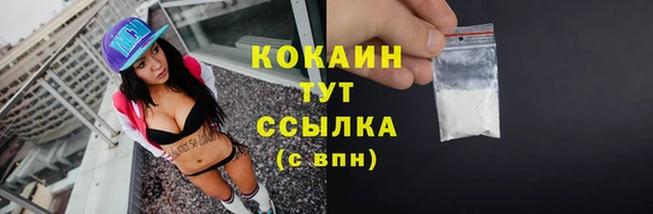 твердый Вяземский