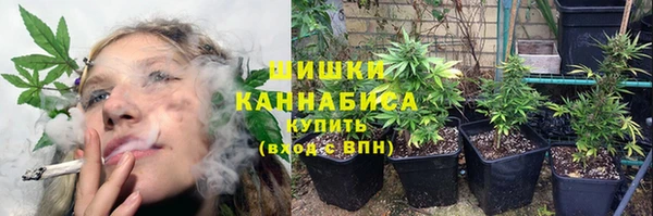 твердый Вяземский