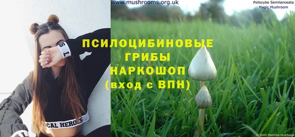 твердый Вяземский