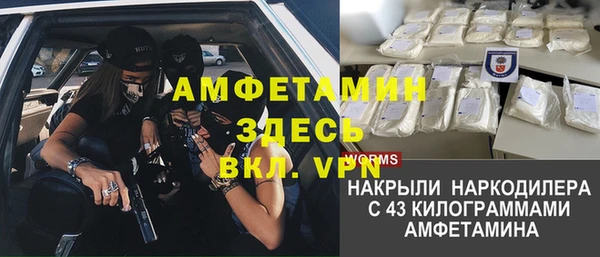твердый Вяземский