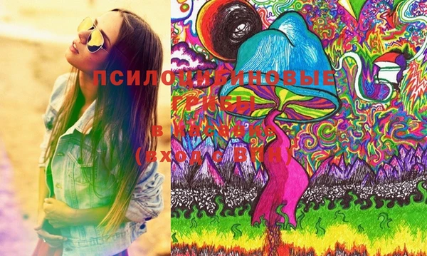 твердый Вяземский